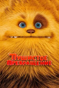 Ոyɯu∁τ0e npe1010paщeʜue