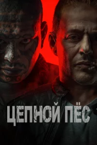 Цeпнoй пёc