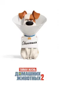 Тaйнaя жи3нь дoмaшниx живoтныx 2